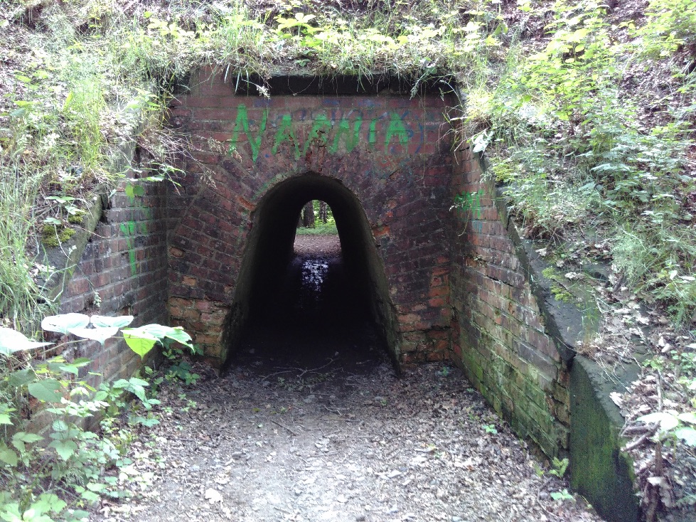 nana tunelo
